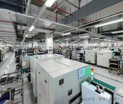 國際蓉 破圈生長(zhǎng)中的技術(shù)開發(fā)新篇章